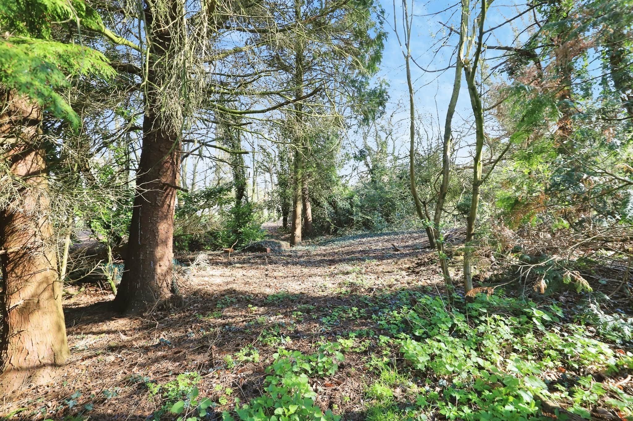 Property photo 33