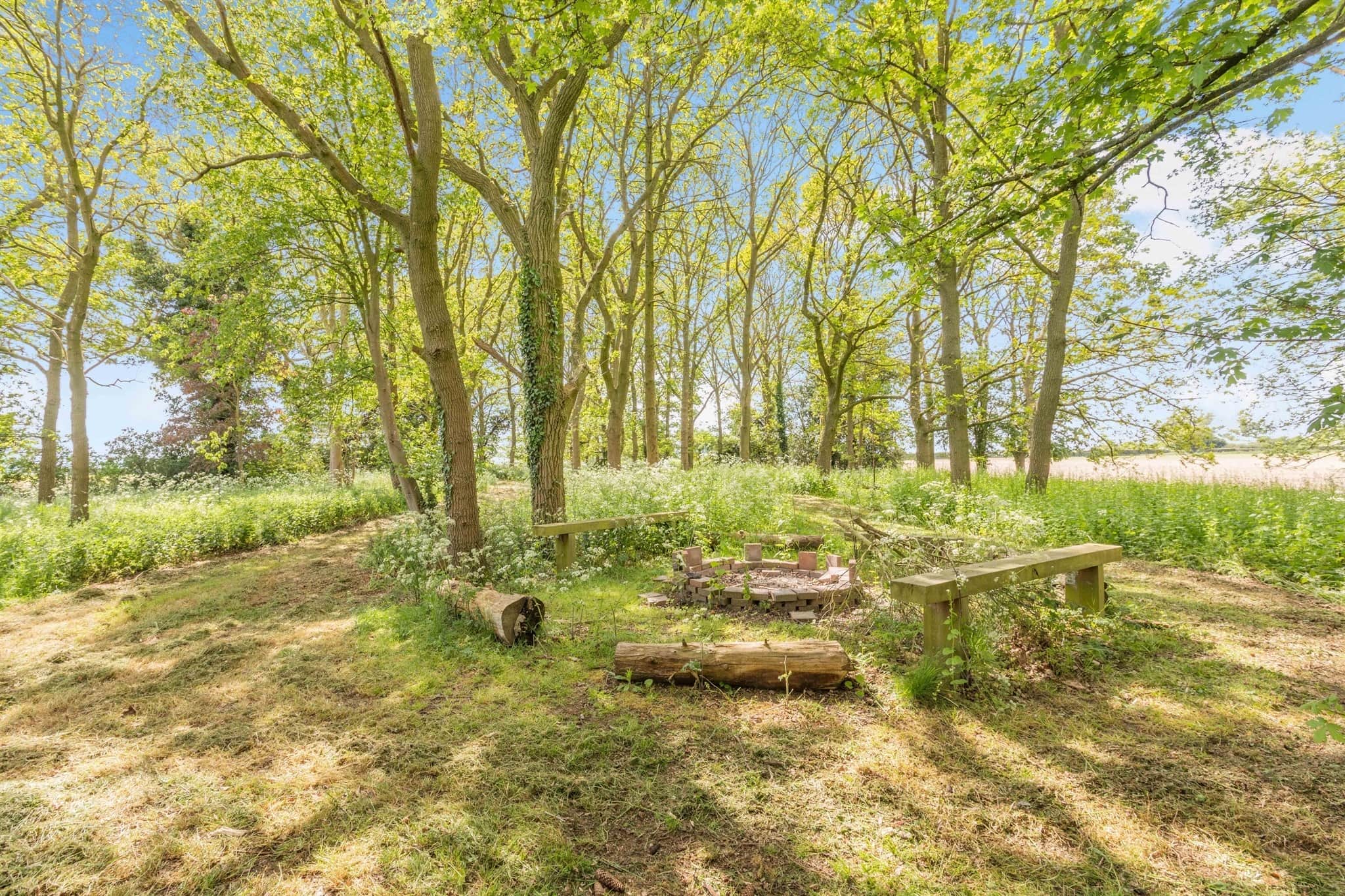 Property photo 19