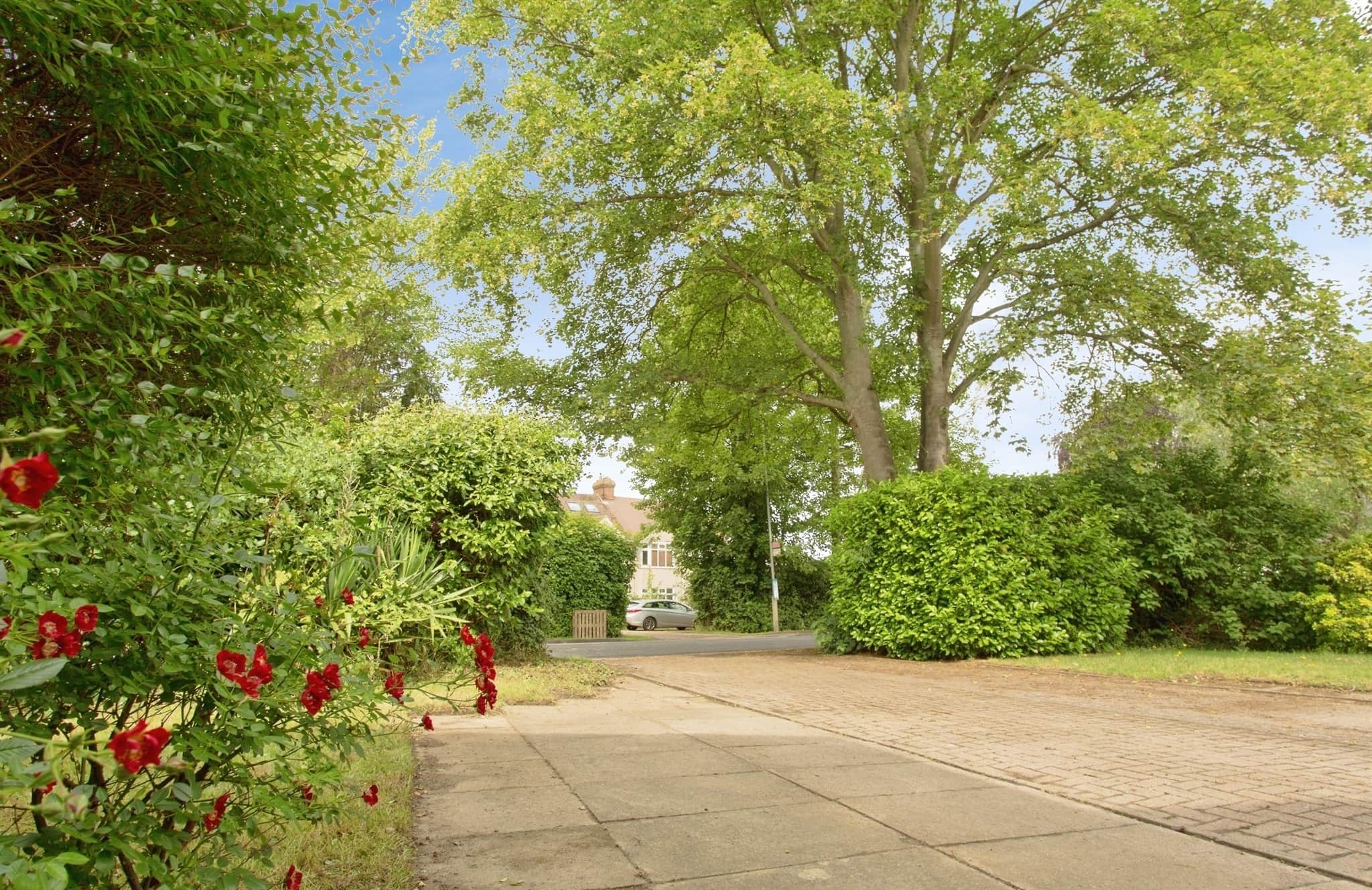 Property photo 15
