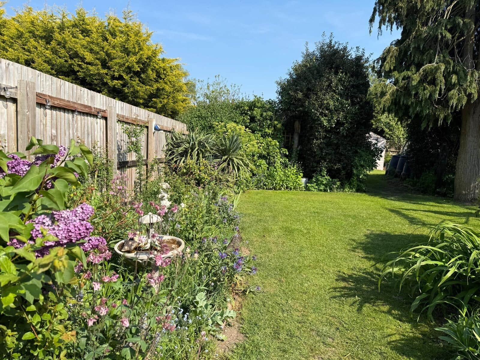 Property photo 19