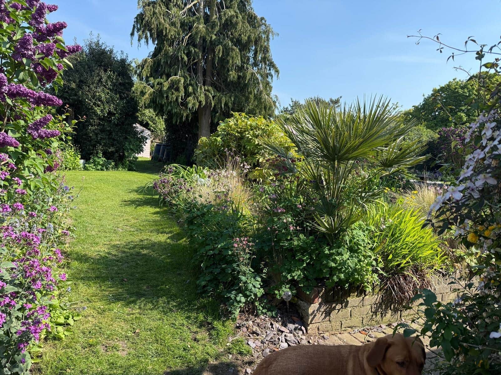 Property photo 20