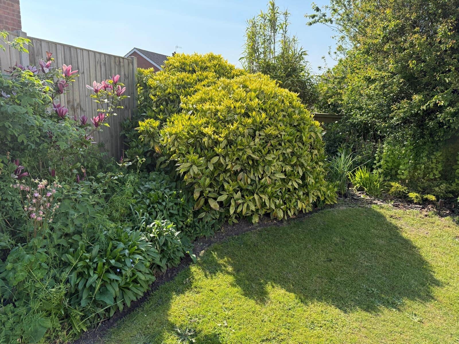 Property photo 21