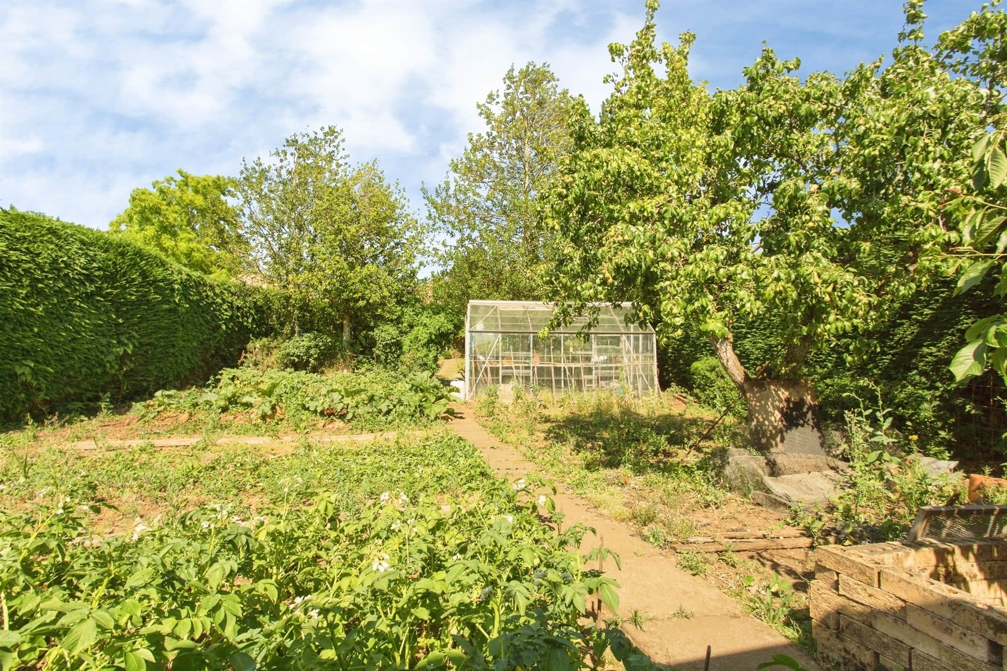 Property photo 19