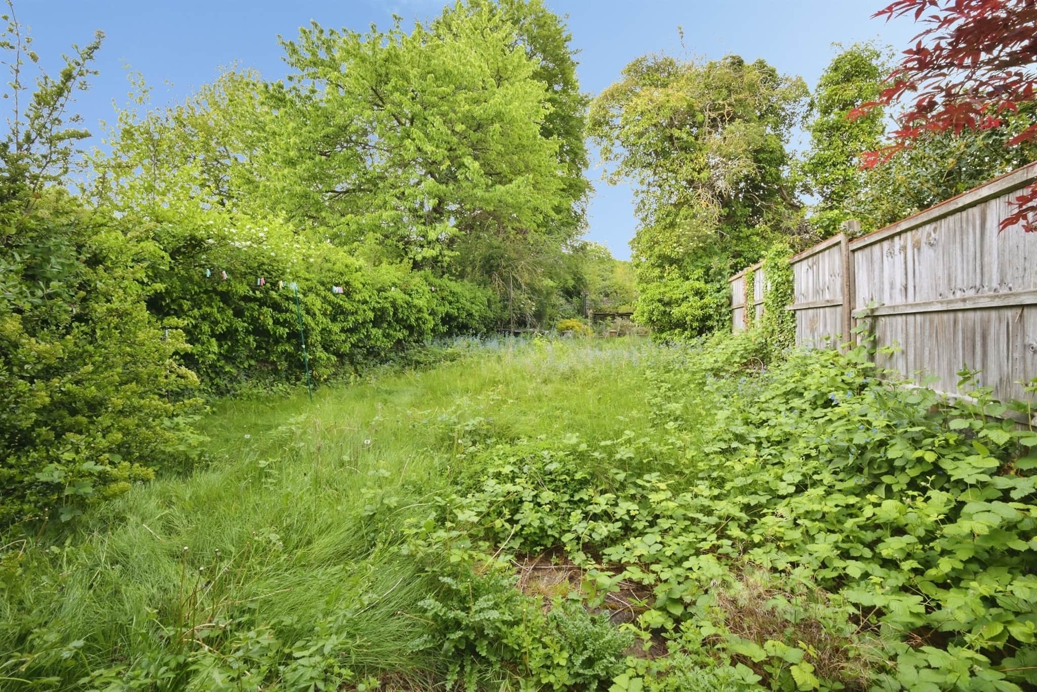 Property photo 14