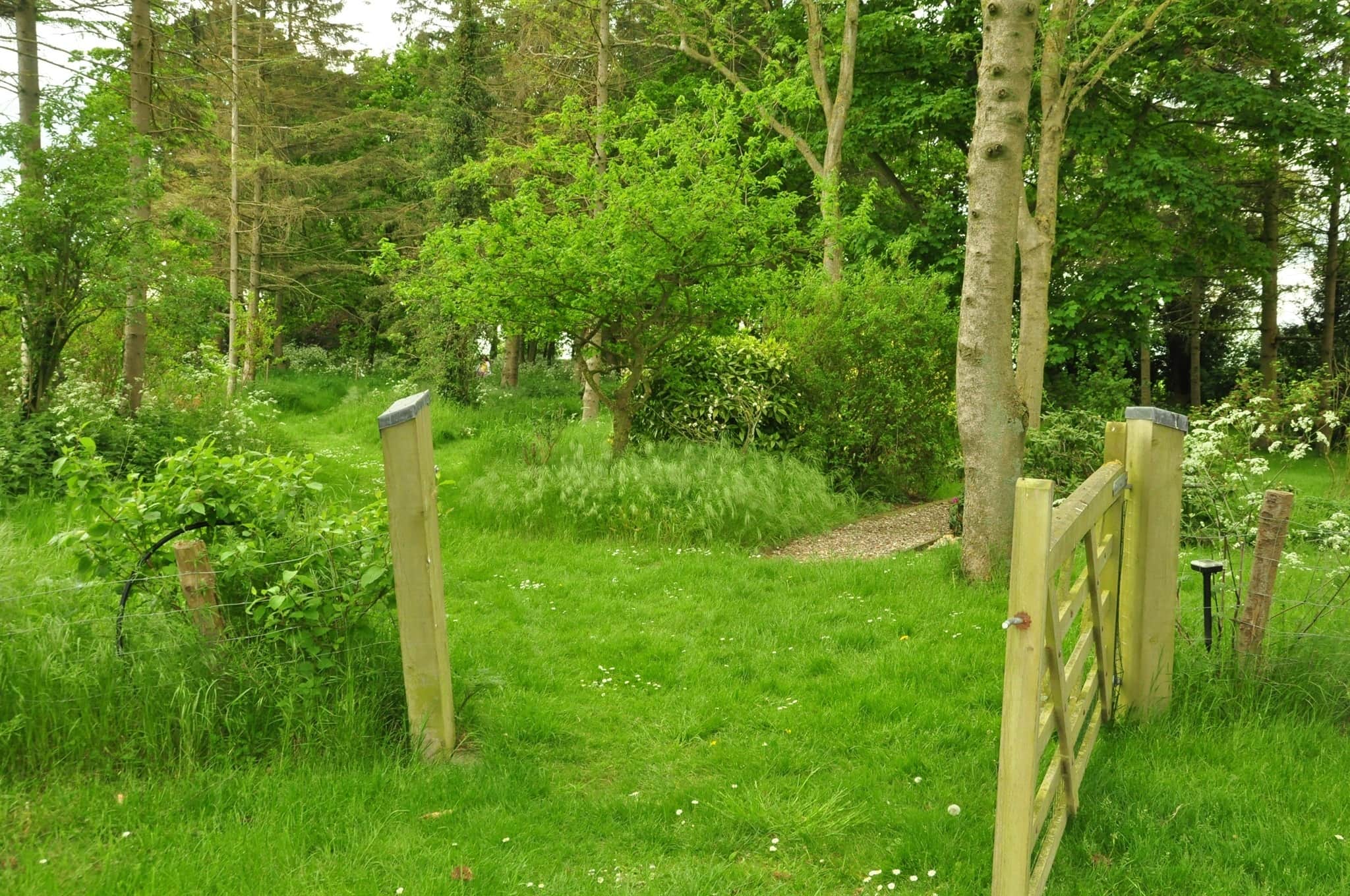 Property photo 24