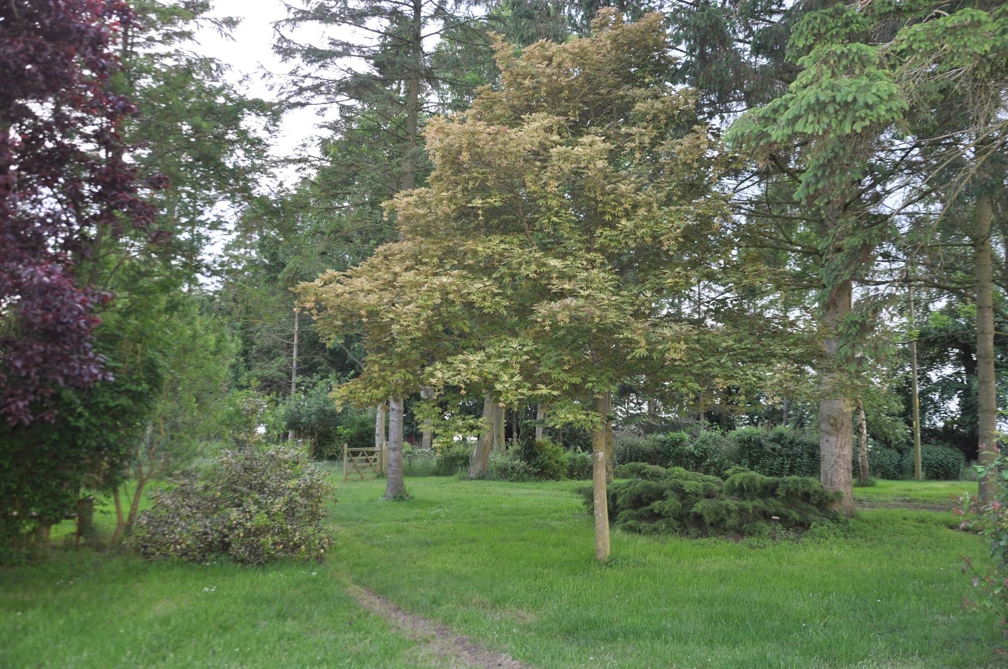 Property photo 25
