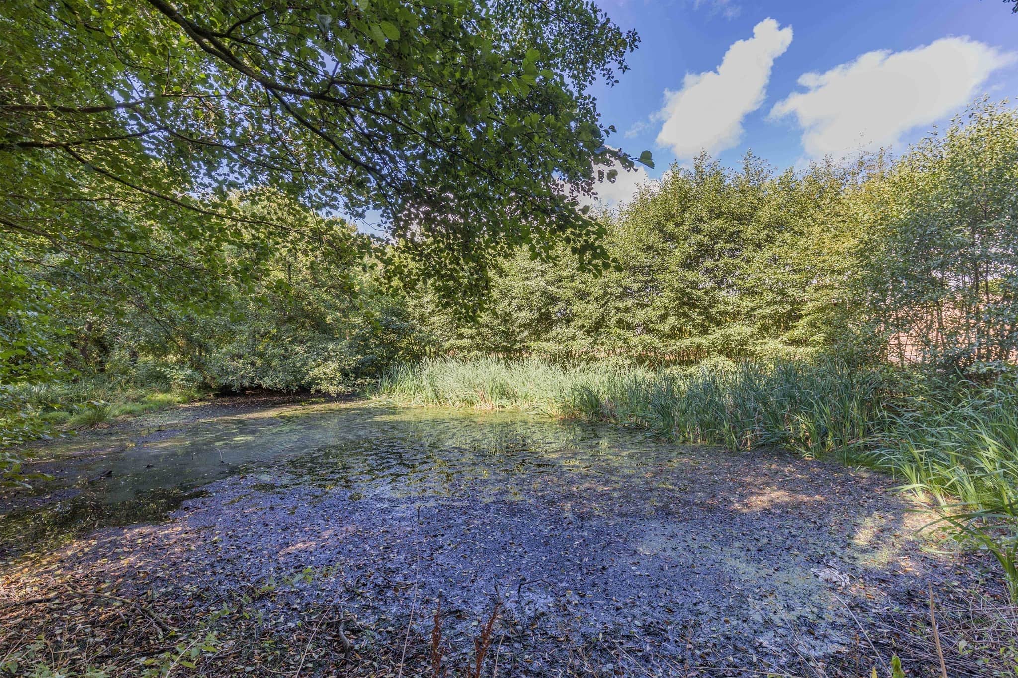 Property photo 12