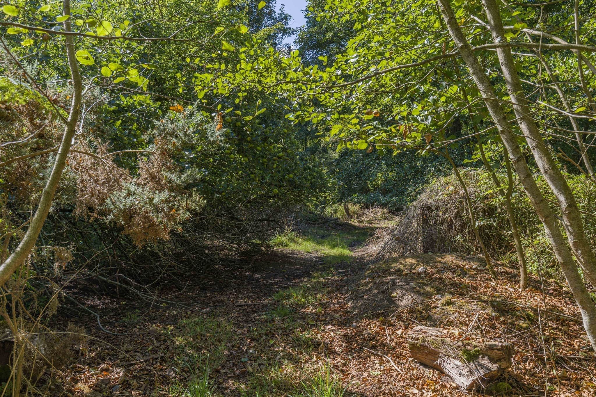 Property photo 14