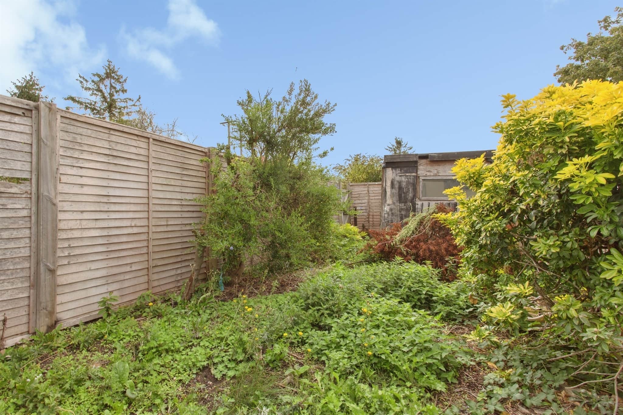 Property photo 14