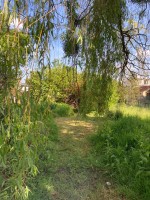 Images for Cottenham, Cambridge, Cambridgeshire