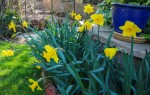 Images for Rampton, Cambridge, Cambridgeshire