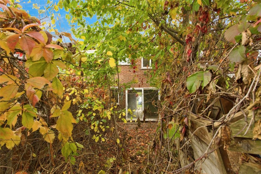 Images for Newmarket, Suffolk