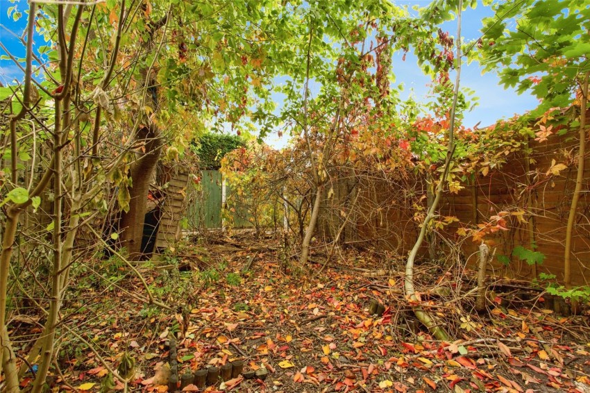 Images for Newmarket, Suffolk