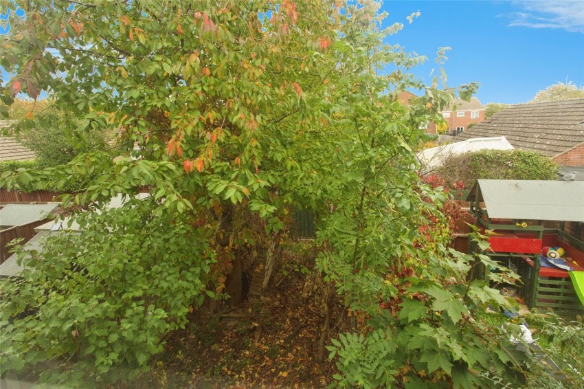 Images for Newmarket, Suffolk