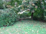 Images for Burrough Green, Newmarket, Cambridgeshire